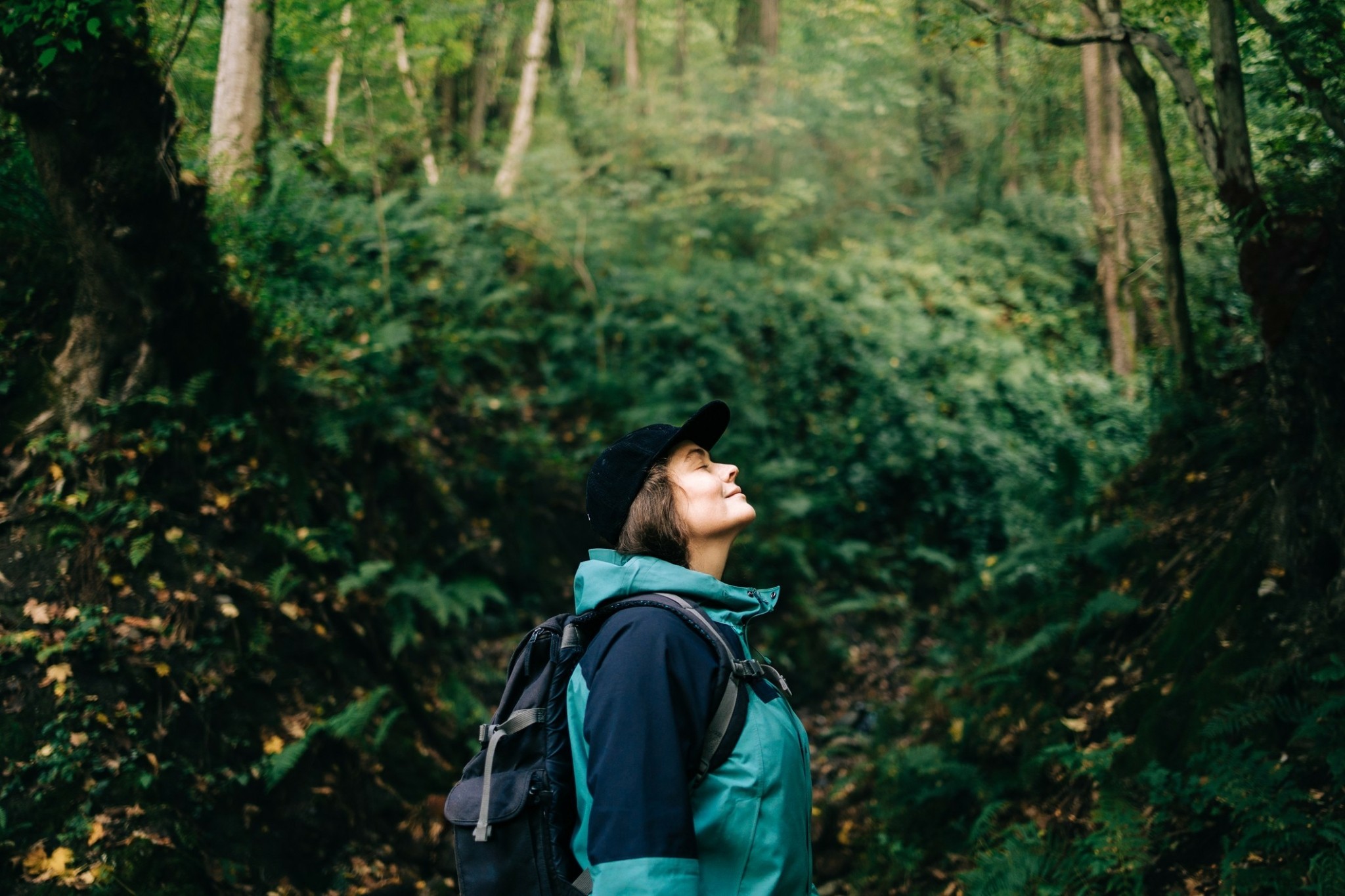 Σε αυτό το ελληνικό δάσος είναι συγκλονιστική εμπειρία να περπατάς το φθινόπωρο