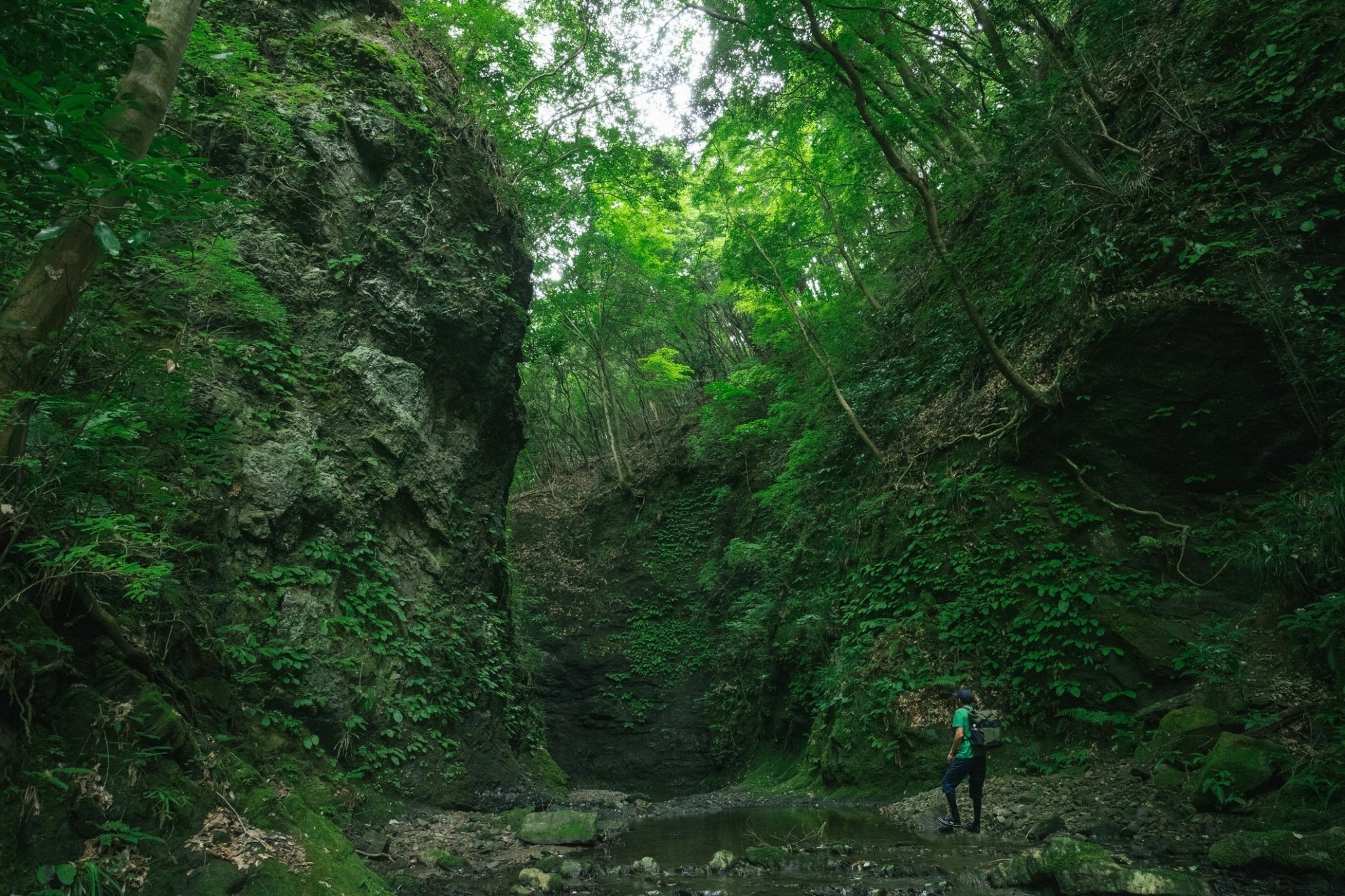 Τι λέει για εμάς το αγαπημένο μας χρώμα – Πώς οι αναμνήσεις διαμορφώνουν τις προτιμήσεις μας