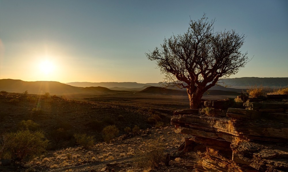 Ο αμπελώνας της ερήμου – Πώς «γεννιέται» ένα βραβευμένο κρασί μέσα στην άμμο (pics) | Ειδήσεις για την Οικονομία