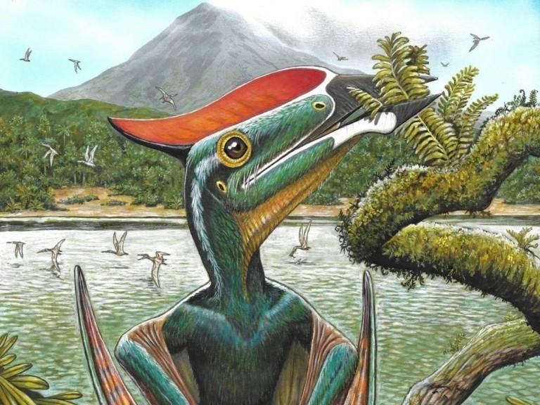 Αυτός ο πτερόσαυρος πέθανε χορτάτος – Τι βρέθηκε στο στομάχι του (pics)