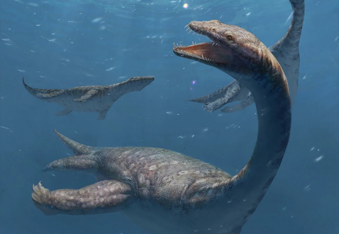 Ανακαλύφθηκε θαλάσσιο ερπετό με λαιμό που ξεπερνά το ένα μέτρο (pic) | Ειδήσεις για την Οικονομία