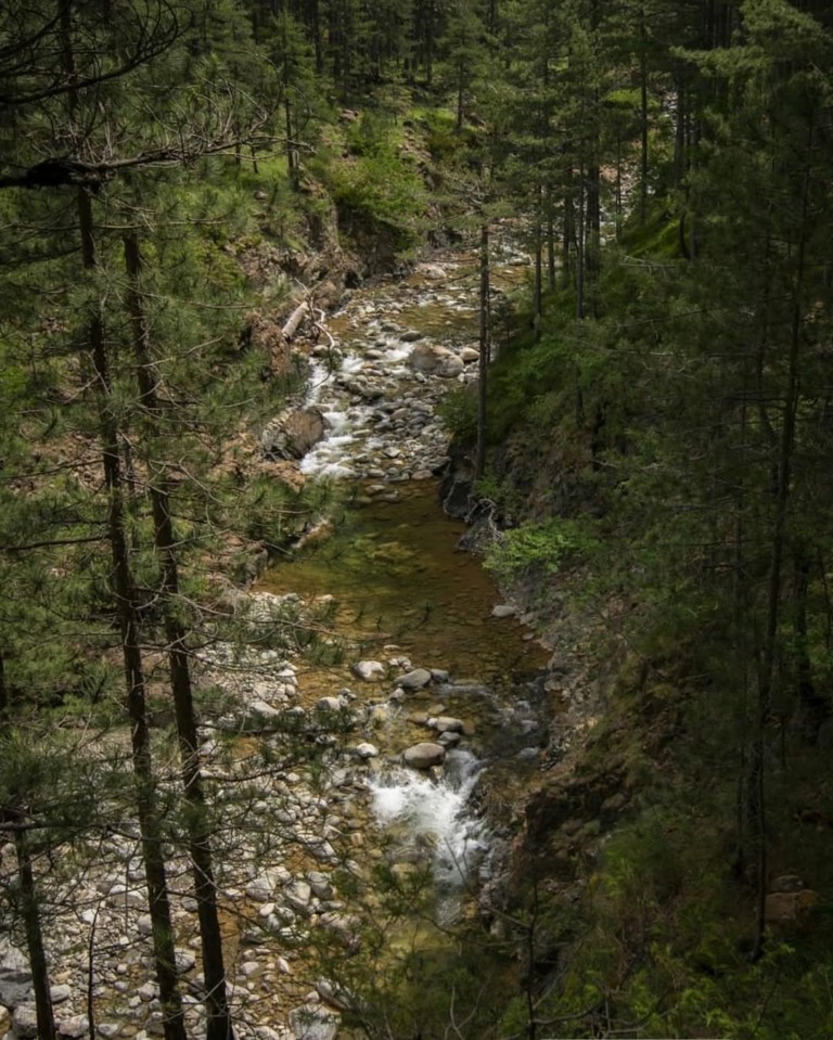 Σε αυτό το ελληνικό δάσος είναι συγκλονιστική εμπειρία να περπατάς το φθινόπωρο