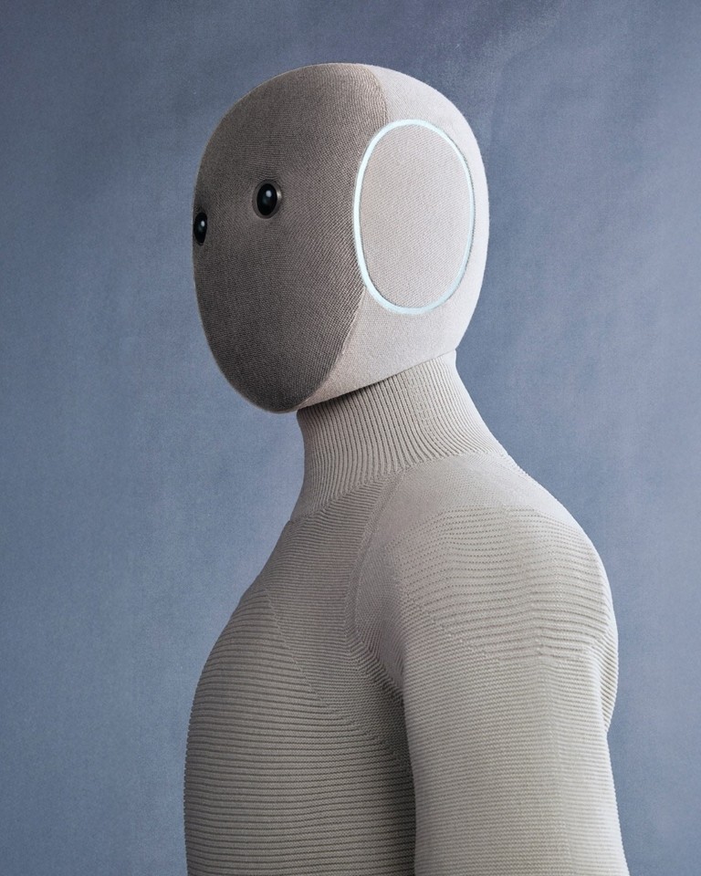 Θα δίνατε 20.000 ευρώ για να σας κάνει τις δουλειές του σπιτιού ένα ανθρωποειδές ρομπότ;