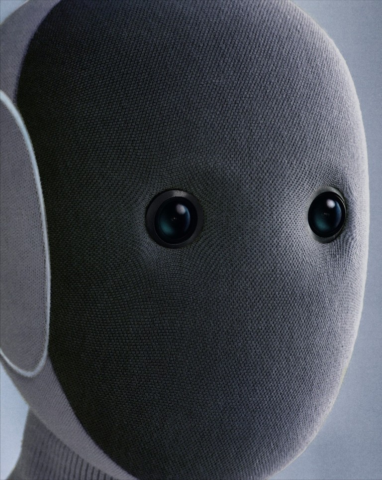 Θα δίνατε 20.000 ευρώ για να σας κάνει τις δουλειές του σπιτιού ένα ανθρωποειδές ρομπότ;