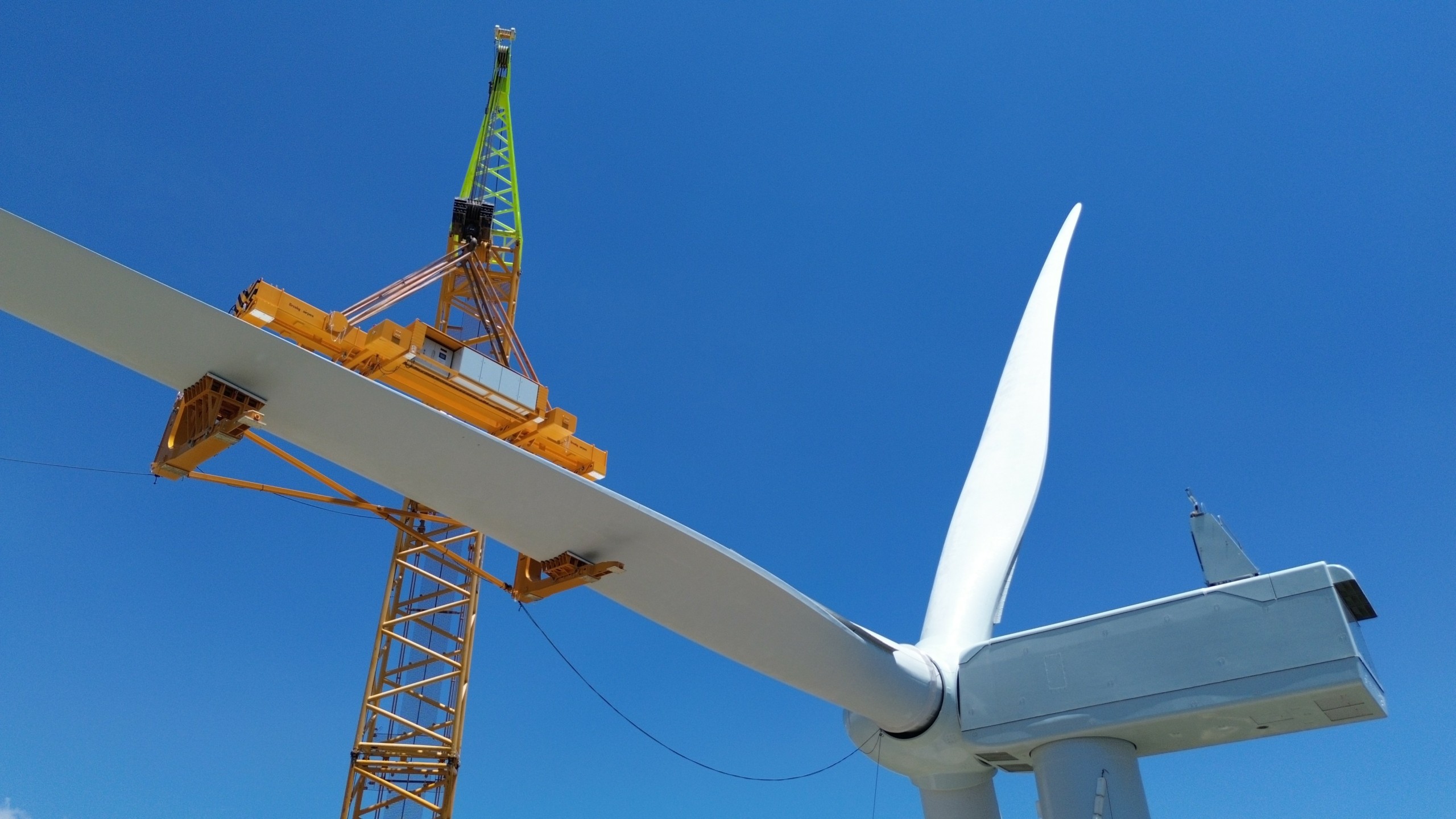 Όμιλος ΔΕΗ: Ολοκλήρωσε την κατασκευή αιολικού πάρκου 36 MW στη Φωκίδα (pics) | Ειδήσεις για την Οικονομία