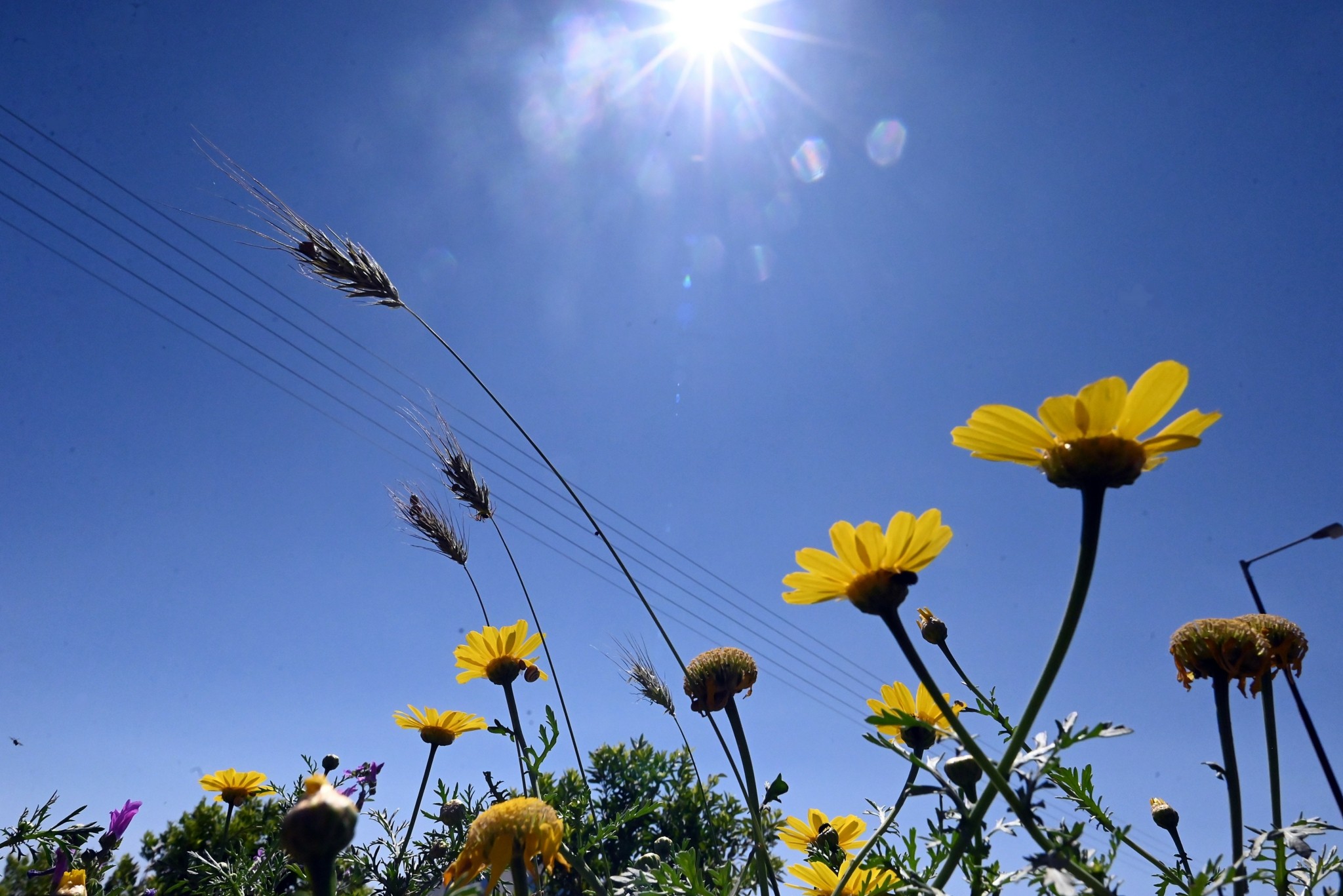 Καιρός: Γενικά αίθριος με λίγες πρόσκαιρες νεφώσεις
