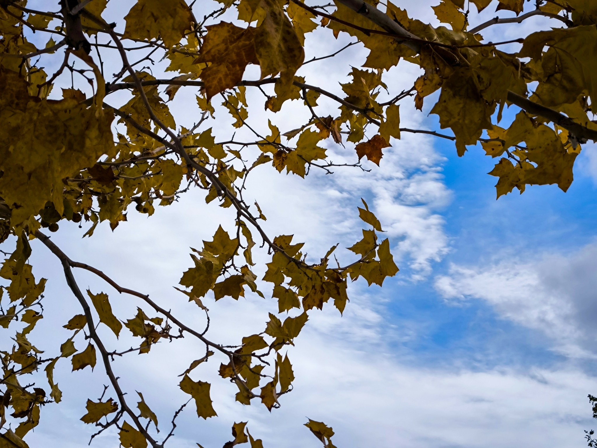 Καιρός: Βροχές και σποραδικές καταιγίδες σε Ιόνιο και Hπειρο (vid)
