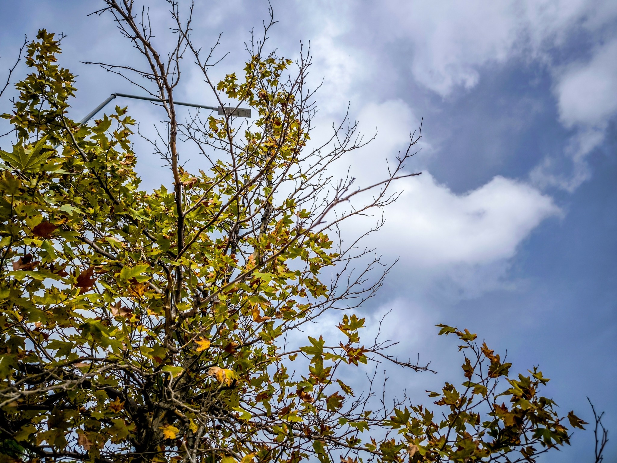 Καιρός: Νεφώσεις πρόσκαιρα αυξημένες στην Αττική