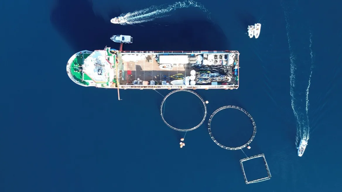 Ίδρυμα Λασκαρίδη και Healthy Seas καθάρισαν εγκαταλελειμμένη ιχθυοκαλλιέργεια στα Μέθανα | Ειδήσεις για την Οικονομία