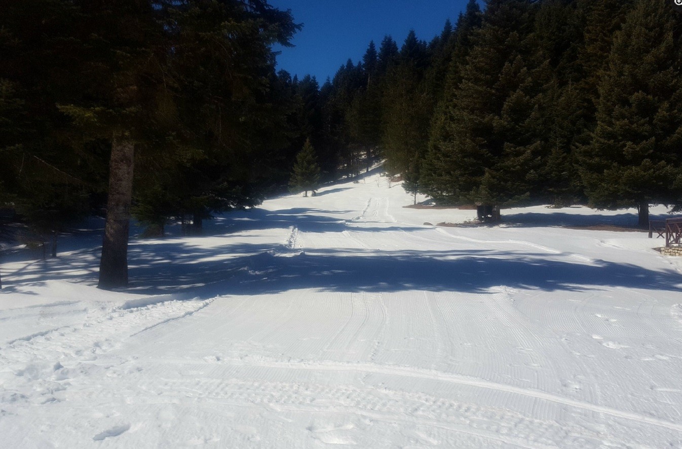 Περτούλι: Διαγωνισμός εκμίσθωσης για το Χιονοδρομικό Κέντρο – Επένδυση €500.000 και ελάχιστο ετήσιο μίσθωμα €40.000 | Ειδήσεις για την Οικονομία