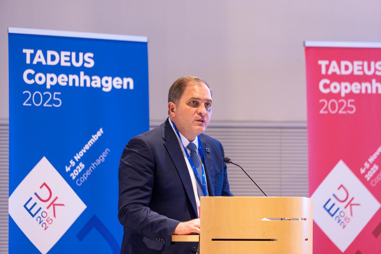 Ο Γιώργος Πιτσιλής παρουσίασε το νέο Πολυετές Σχέδιο (MAP) των ευρωπαϊκών φορολογικών διοικήσεων | Ειδήσεις για την Οικονομία