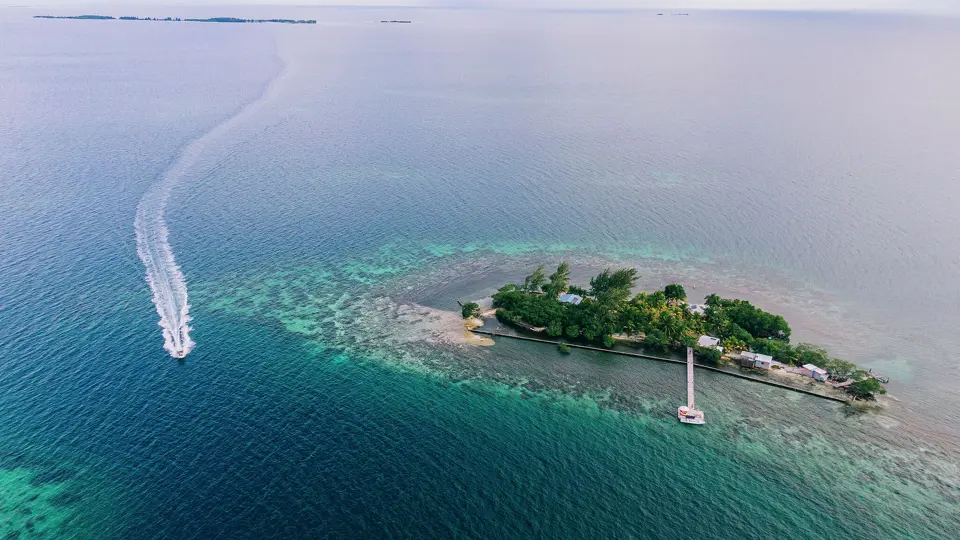 Φράνσις Φορντ Κόπολα: Πούλησε νησί στην Μπελίζ έναντι 1,8 εκατ. δολ. | Ειδήσεις για την Οικονομία