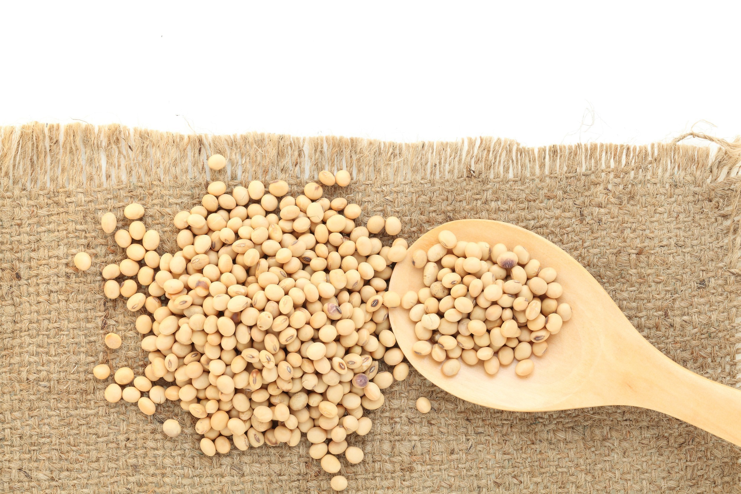 Η Κίνα «πνίγεται» στη σόγια: Τα υπερπλεονάσματα περιορίζουν τις αμερικανικές εξαγωγές παρά το εμπορικό deal | Ειδήσεις για την Οικονομία