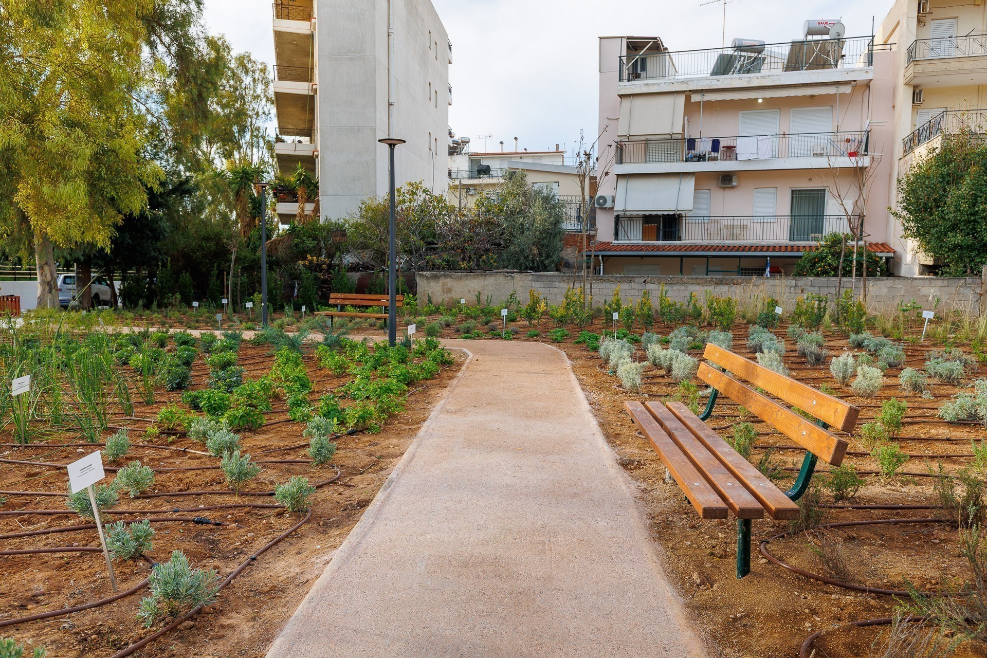 Η P&G παραδίδει το 26ο Πάρκο Τσέπης:  Ένας «Βοτανόκηπος» 395 τ.μ. με περισσότερα από 1.000 φυτά στους Αγίους Αναργύρους