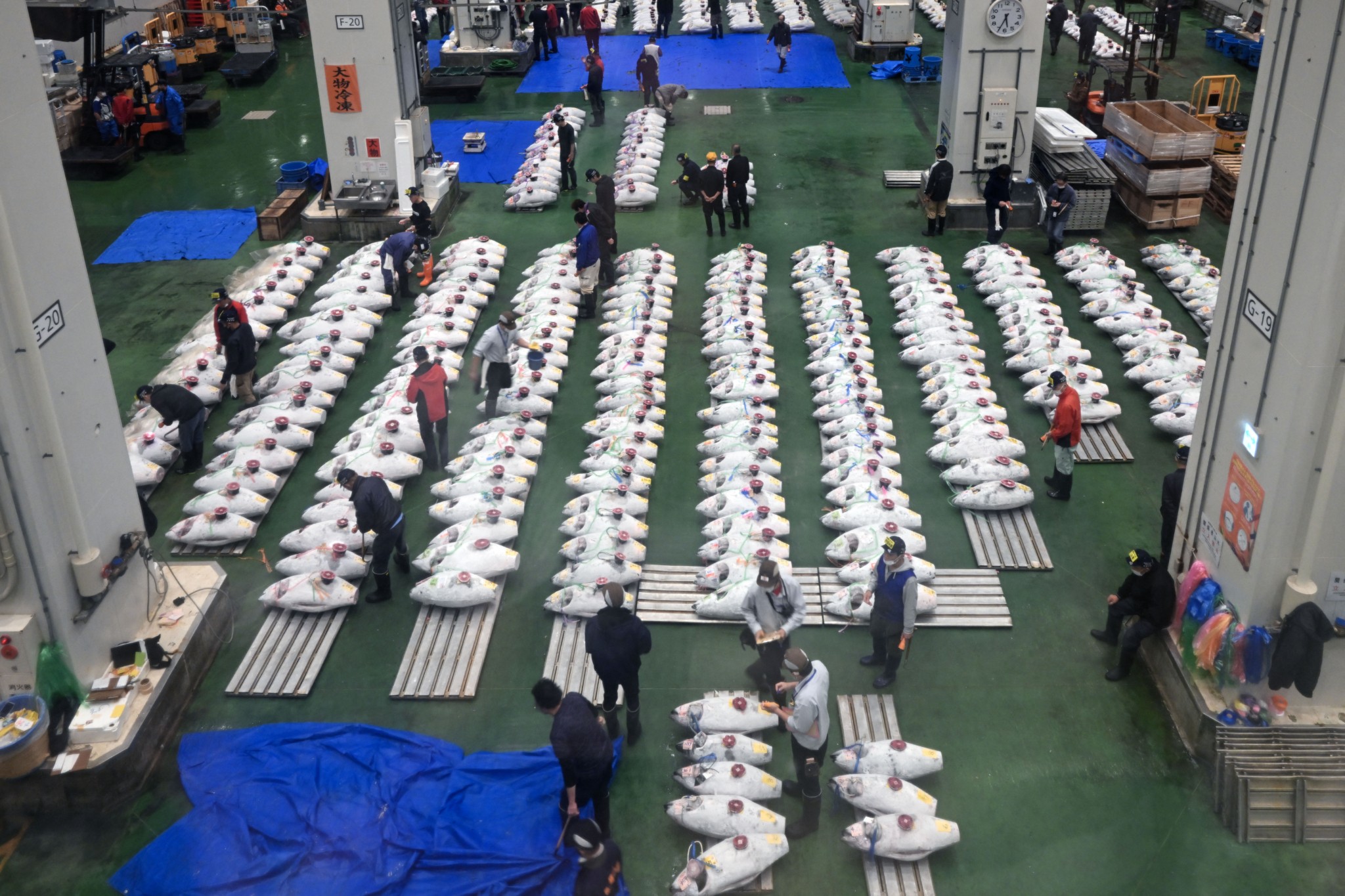 Η “σκοτεινή” αλήθεια πίσω από το ψάρεμα του τόνου στους ωκεανούς