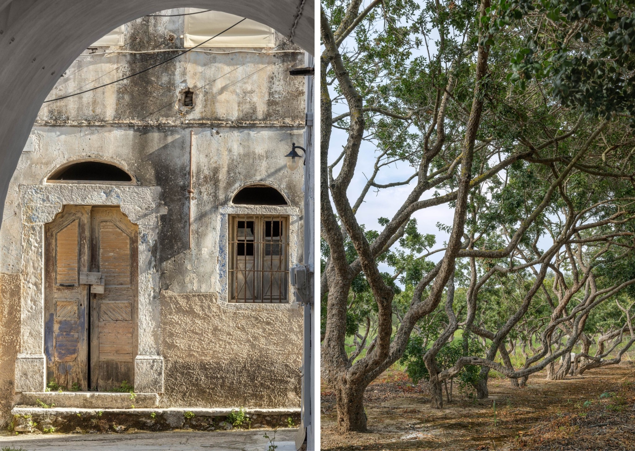 Καλαμωτή: Το ταξίδι σε ένα σπάνιο χωριό της Χίου έγινε φωτογραφικό αριστούργημα