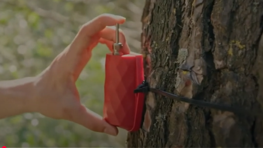 ΗUAWEI: Το βιώσιμο όραμα της διεθνούς εταιρείας Τεχνολογιών Πληροφορικής και Επικοινωνιών (ΤΠΕ) | Ειδήσεις για την Οικονομία