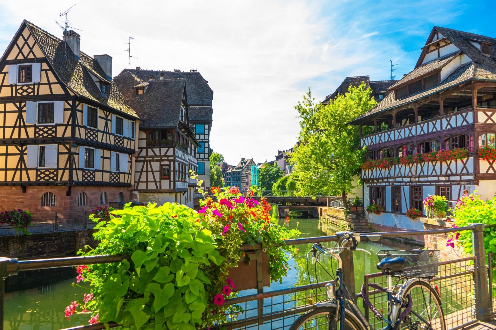 Καμπανία, Αλσατία, Βουργουνδία: Ταξίδι γευσιγνωσίας με τρένο στην καρδιά της Γαλλίας