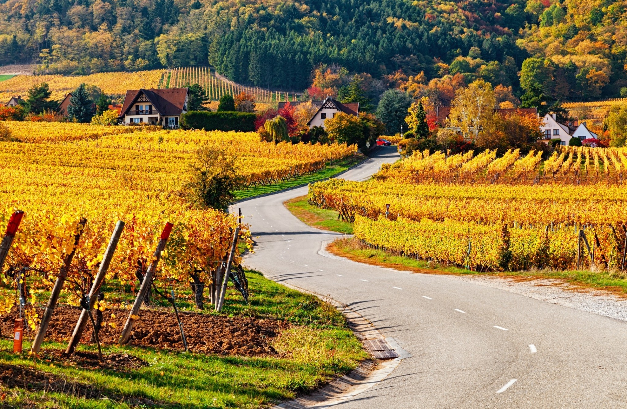 Καμπανία, Αλσατία, Βουργουνδία: Ταξίδι γευσιγνωσίας με τρένο στην καρδιά της Γαλλίας