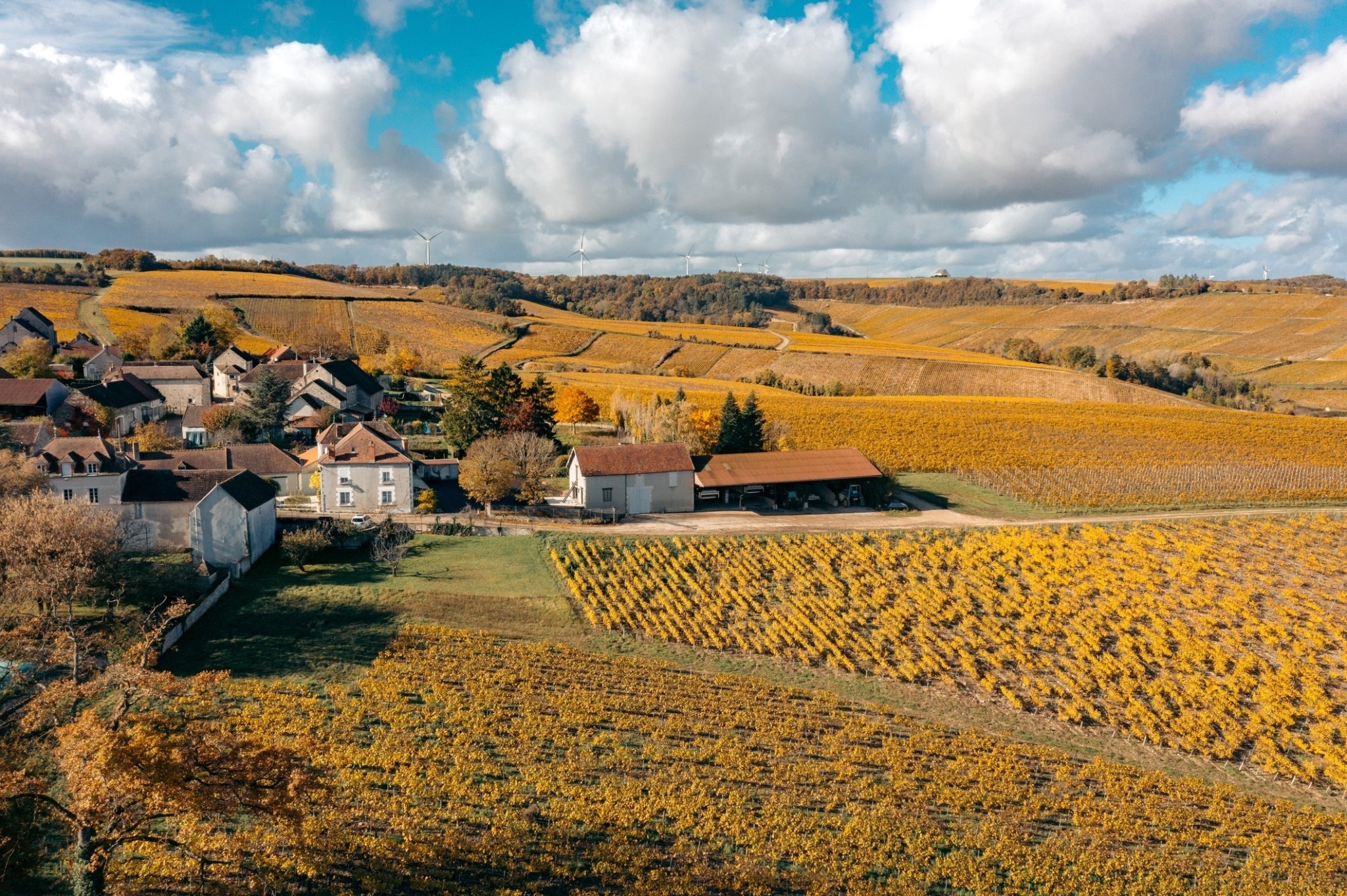 Καμπανία, Αλσατία, Βουργουνδία: Ταξίδι γευσιγνωσίας με τρένο στην καρδιά της Γαλλίας