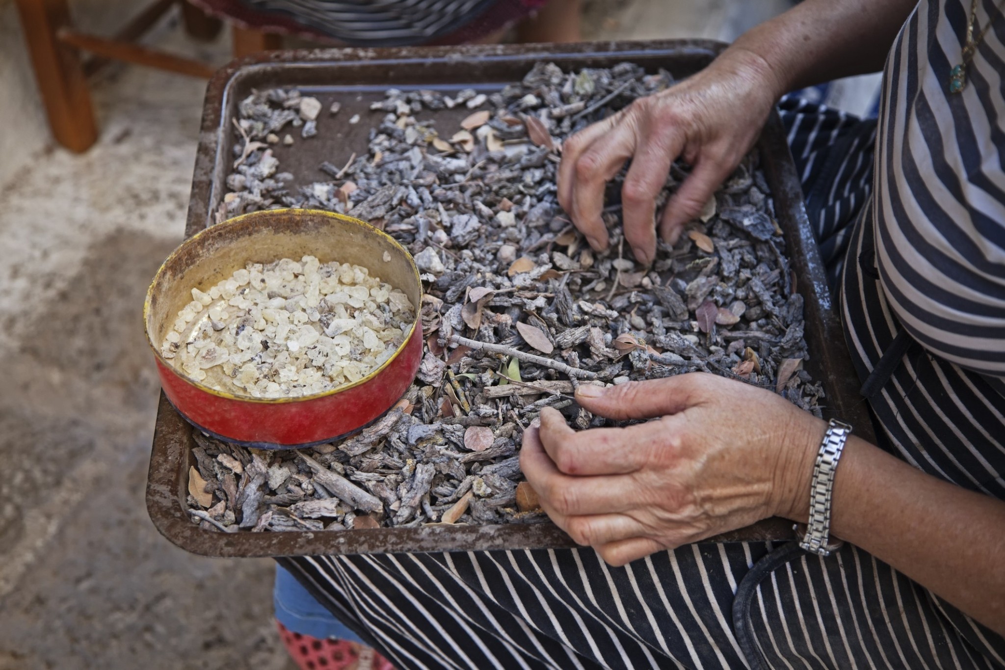 Μαστίχα Χίου: Το παγκόσμιο brand που περνά από γενιά σε γενιά
