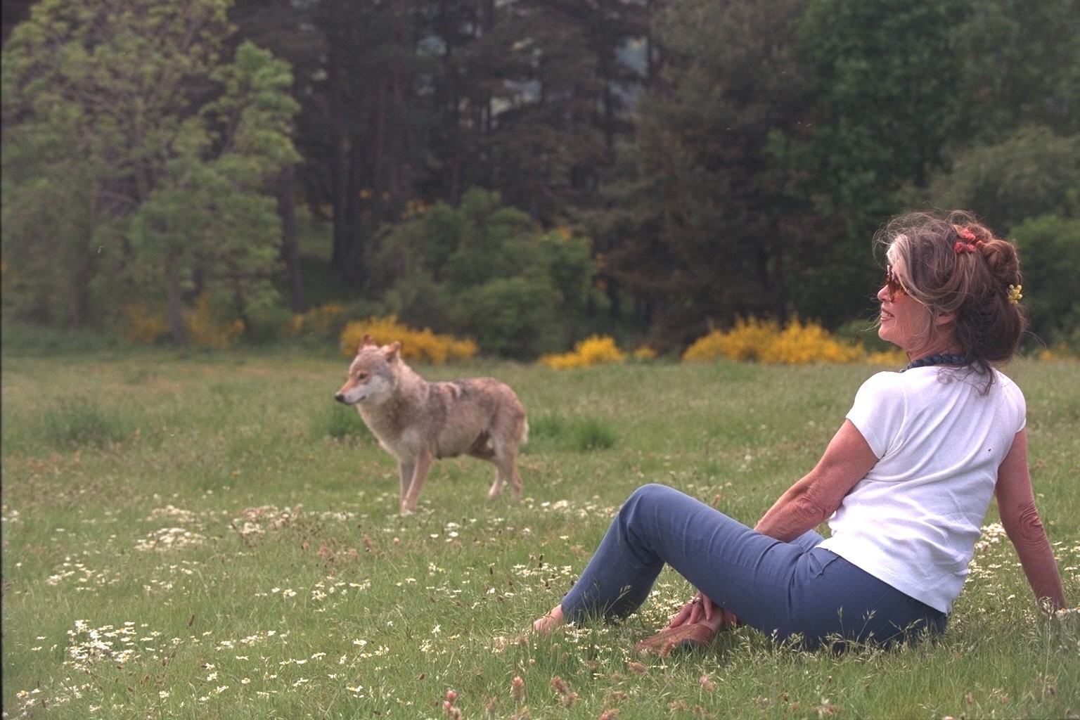 Μπριζίτ Μπαρντό: Μια αυθεντική εξομολόγηση για τους ανθρώπους, τα ζώα, τη φήμη, την Ελλάδα και τον θάνατο