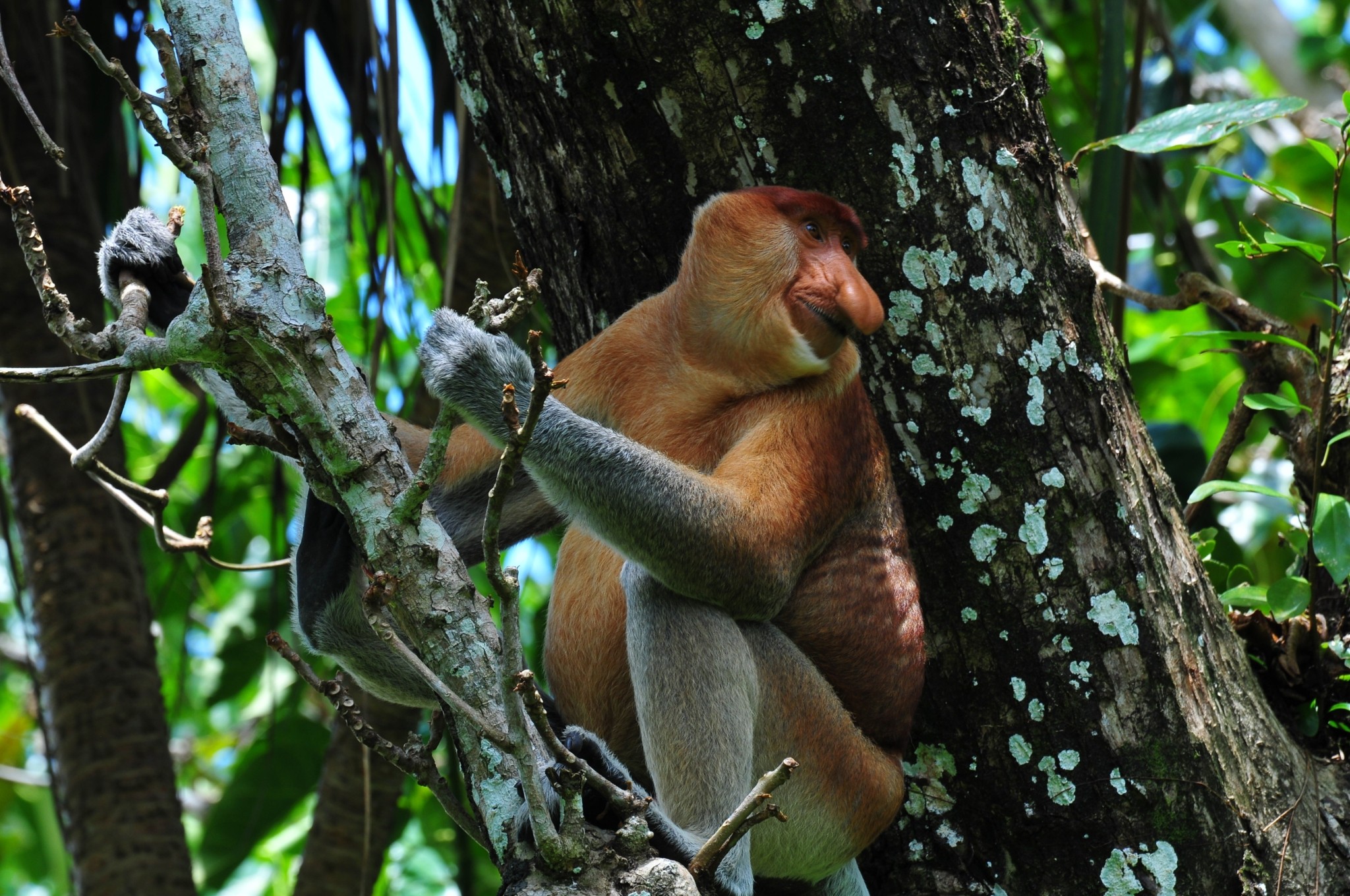 Τρεις προορισμοί για σπάνιες εμπειρίες στην Ασία που θα γίνουν δημοφιλείς το 2026