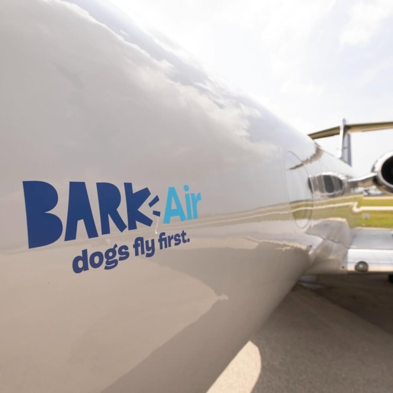 Bark Air – Η πρώτη αεροπορική εταιρεία για σκύλους