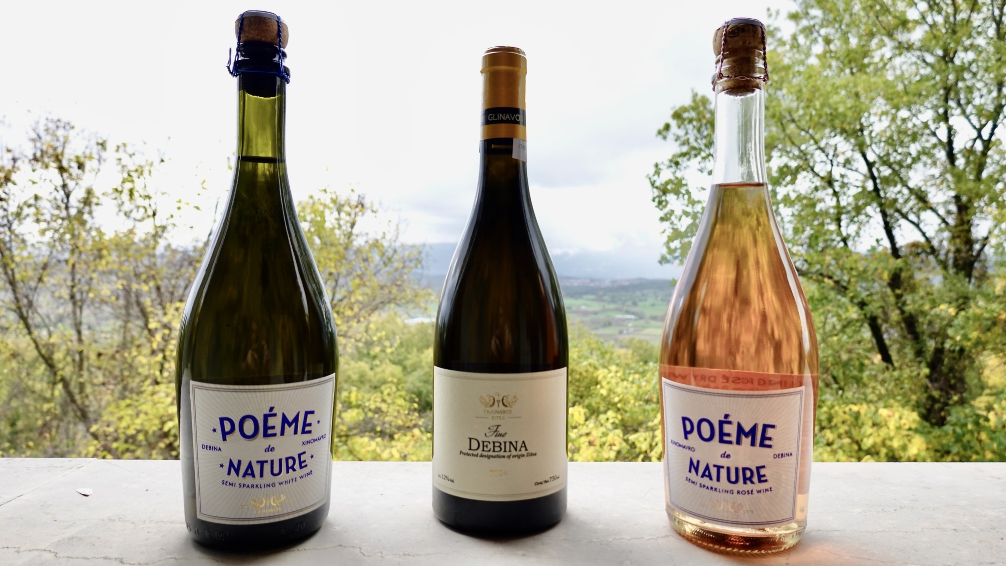 Ζίτσα: Το νέο μεγάλο πρότζεκτ του ευρηματικού οινοποιού Απόστολου Θυμιόπουλου