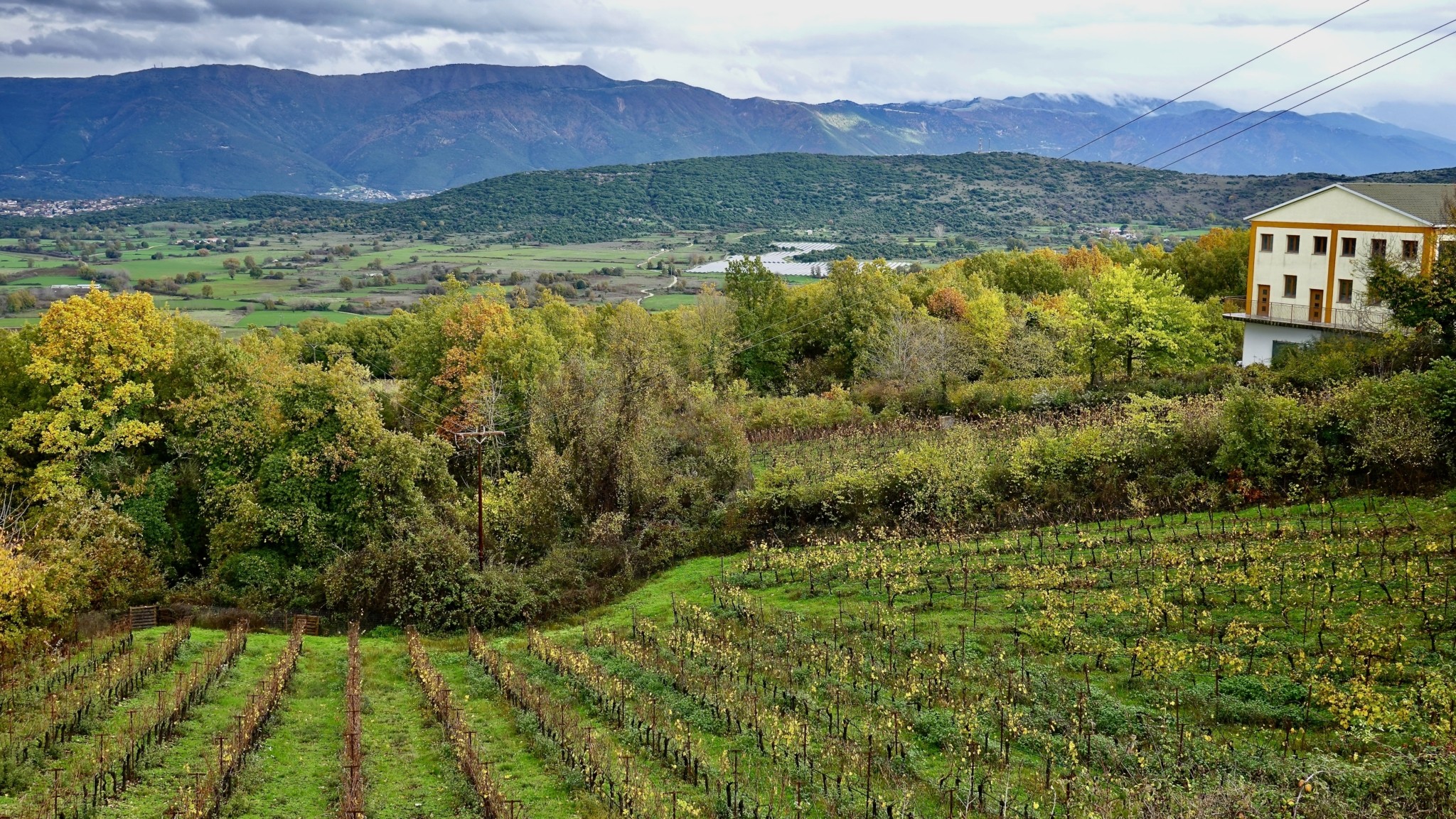 Ζίτσα: Το νέο μεγάλο πρότζεκτ του ευρηματικού οινοποιού Απόστολου Θυμιόπουλου