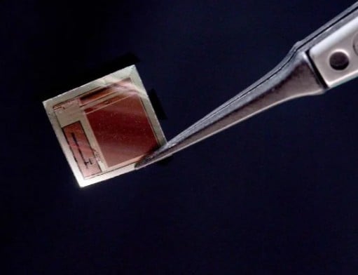 Μικροσκοπικό εμφύτευμα συνδέει τον ανθρώπινο εγκέφαλο με την τεχνητή νοημοσύνη | Ειδήσεις για την Οικονομία