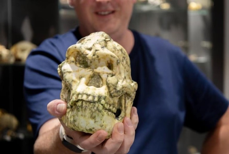 Little Foot: Το απολίθωμα από ανθρωποειδές φέρνει νέες απαντήσεις για την ανθρώπινη καταγωγή