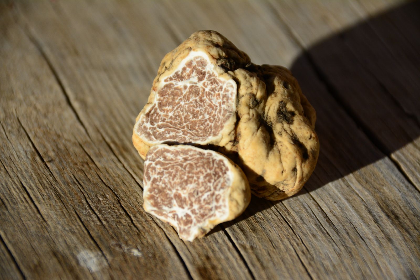 © Βασίλης Μυλωνάς