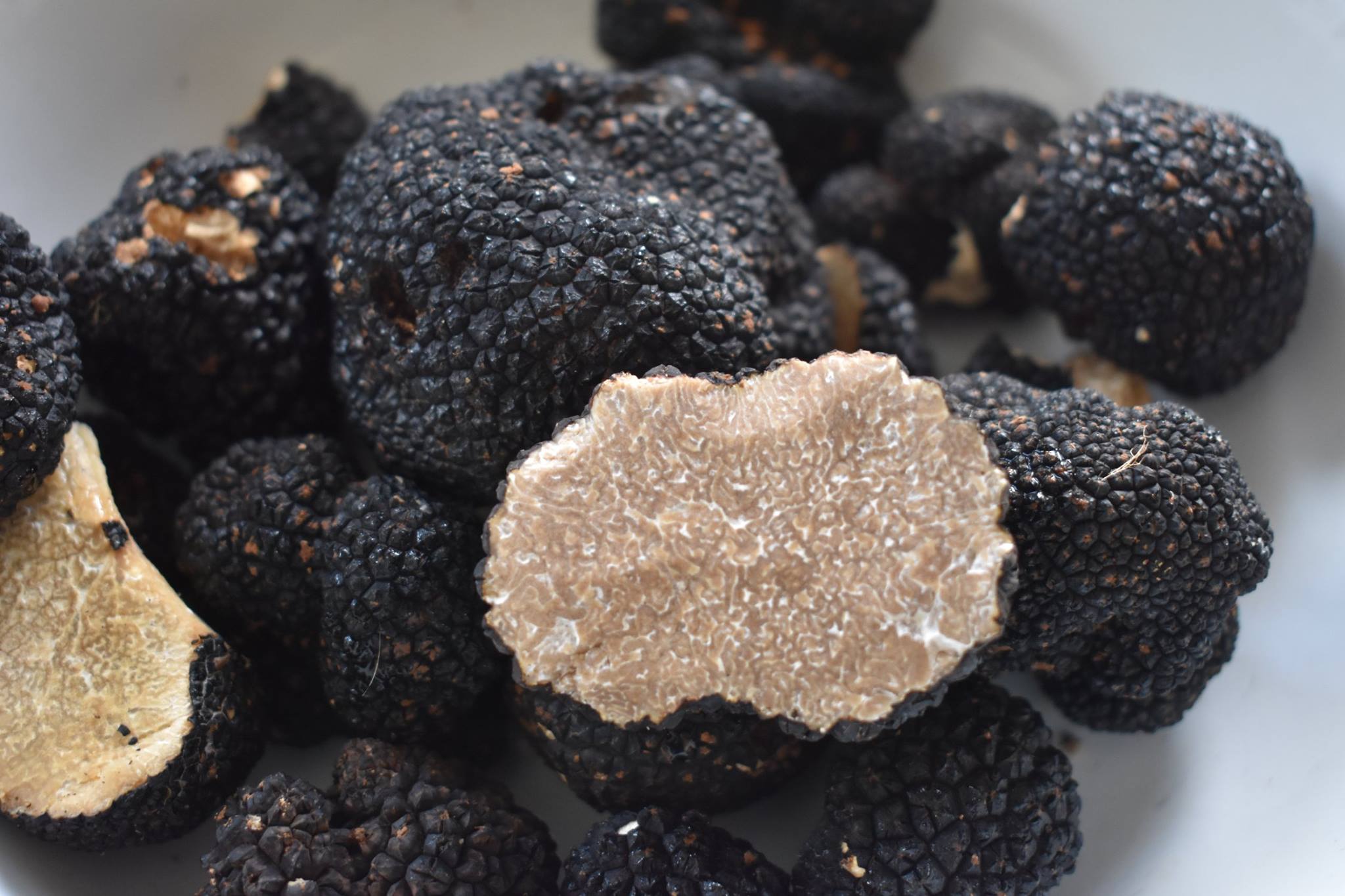 © Βασίλης Μυλωνάς