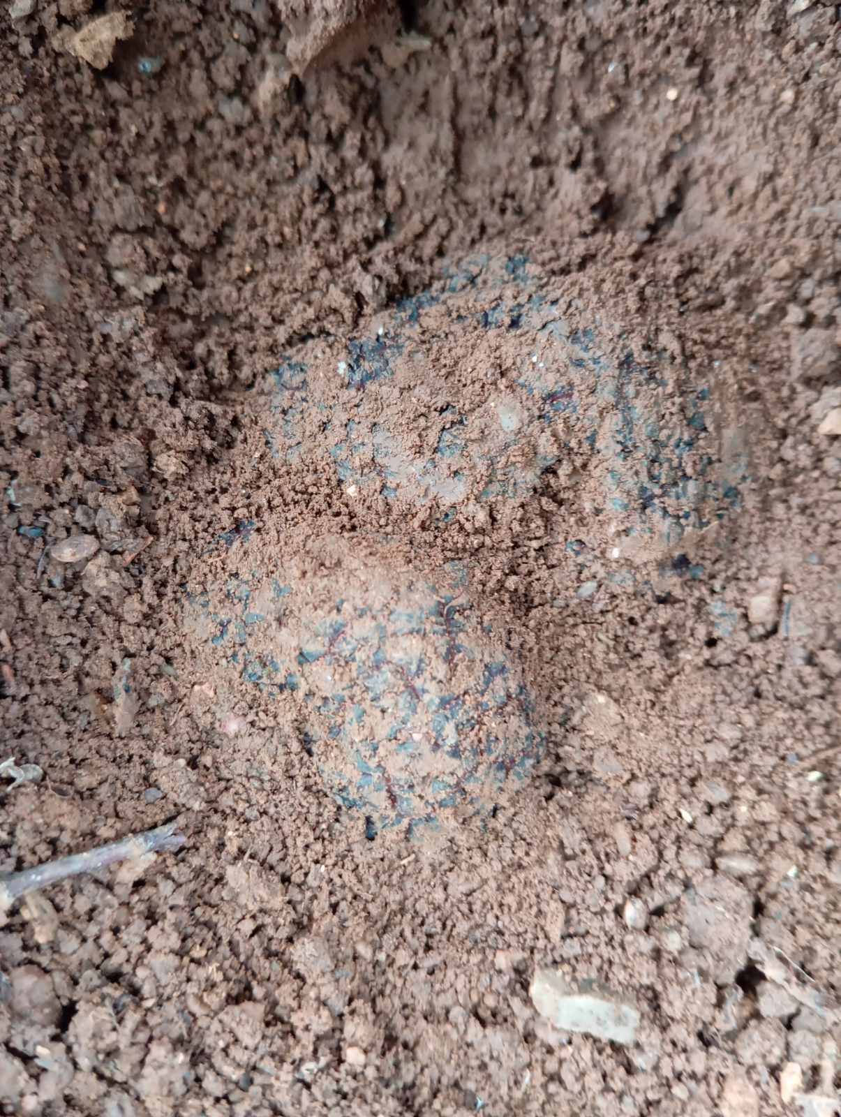 © Βασίλης Μυλωνάς