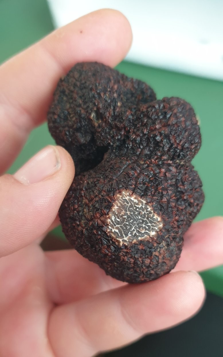 © Βασίλης Μυλωνάς