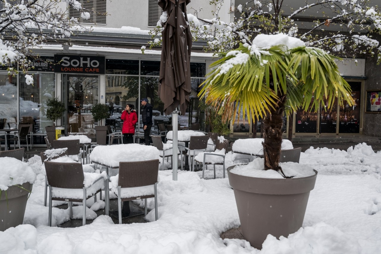 Πάγωσε η Ολλανδία: Πολλά προβλήματα λόγω χιονιού και πάγων – Ανεστάλησαν δρομολόγια τρένων, ακυρώνονται πτήσεις | Ειδήσεις για την Οικονομία Πάγωσε η Ολλανδία: Πολλά προβλήματα λόγω χιονιού και πάγων – Ανεστάλησαν δρομολόγια τρένων, ακυρώνονται πτήσεις | Ειδήσεις για την Οικονομία