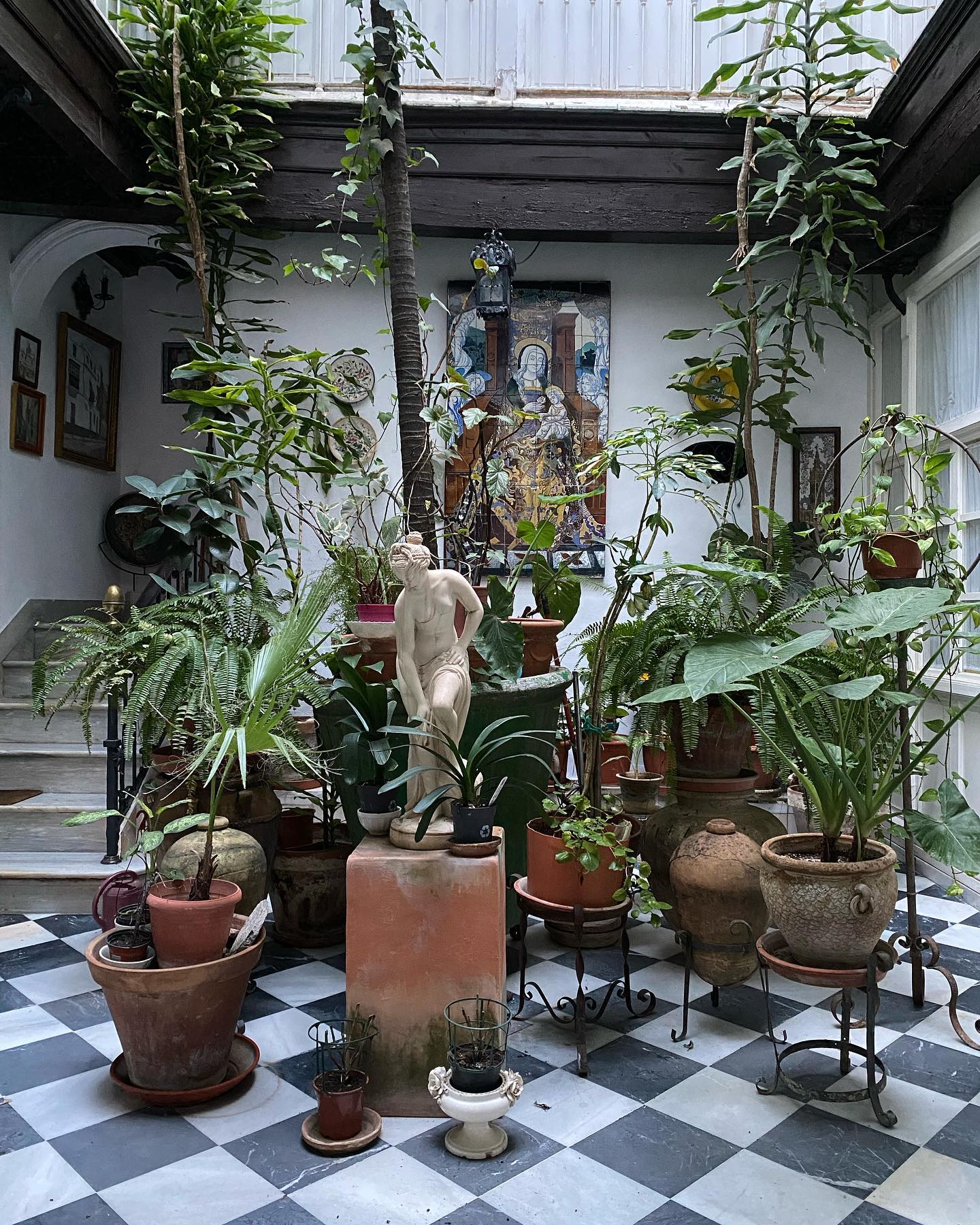 Κρασί, δίσκοι, πίτσα και φυτά – Τα πολυχρηστικά καταστήματα που αλλάζουν την Αθήνα