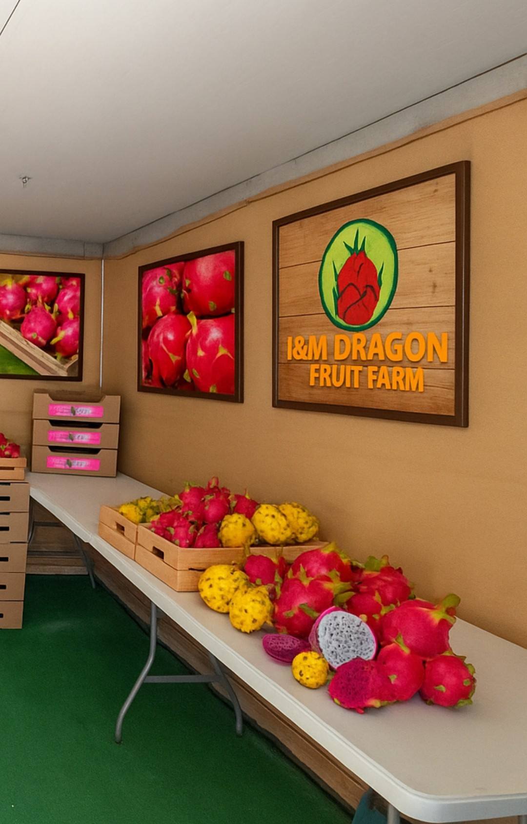 Manos Bakoysis (Dragon fruit Creta Greece)