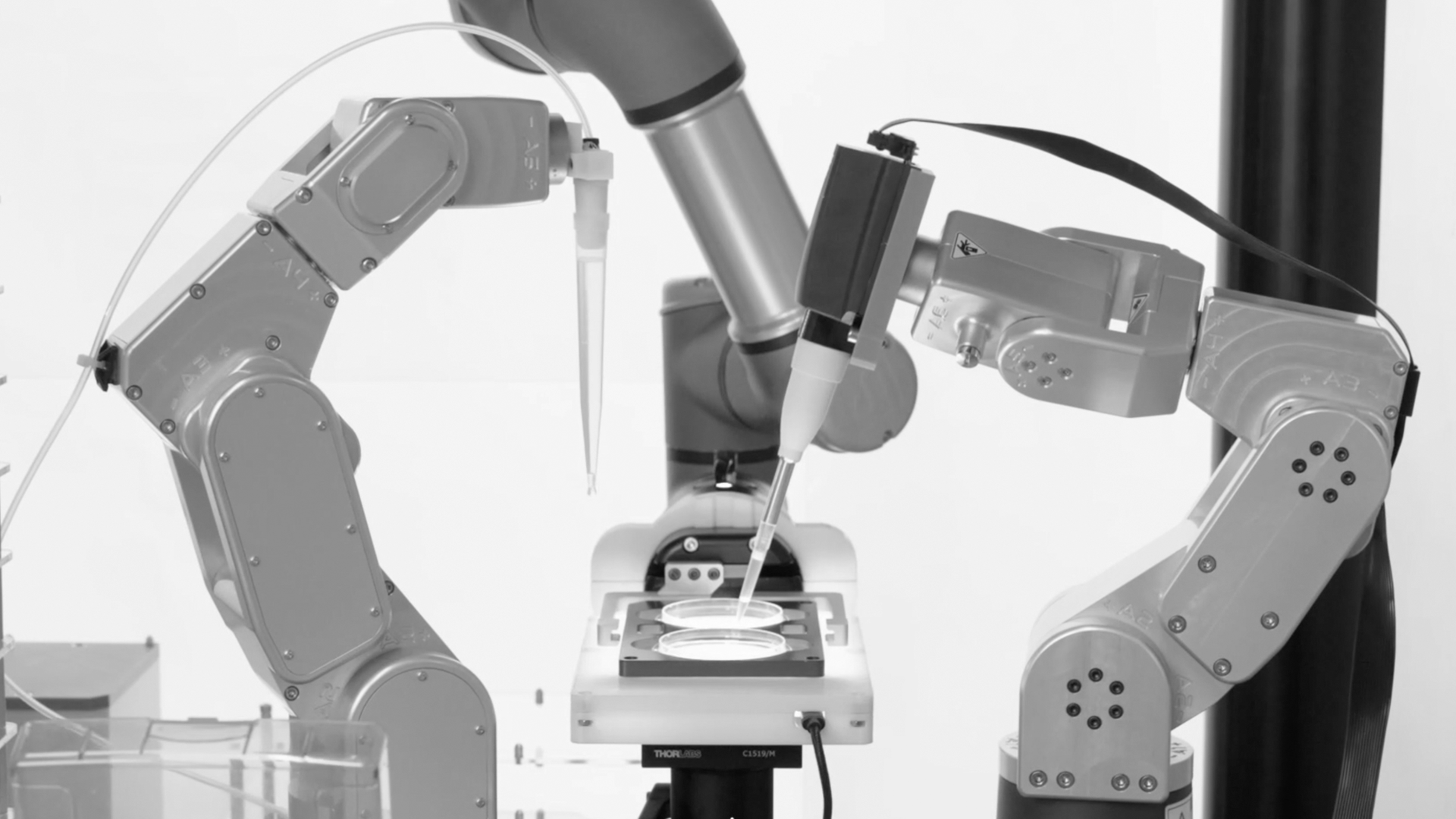 Το πρώτο εργαστήριο που δημιουργεί έμβρυα με ρομπότ και τεχνητή νοημοσύνη