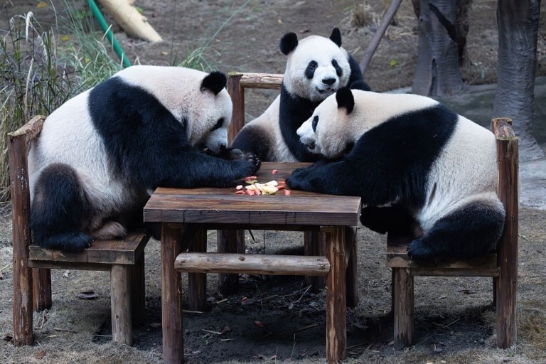 Ο πρώτος καρκίνος που νικιέται και άλλες 7 καλές ειδήσεις του 2026