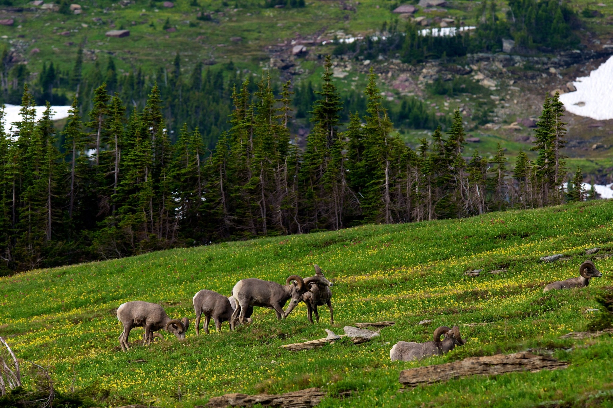 Οι ταξιδιώτες αναζητούν προορισμούς ησυχίας: Η πολυτέλεια της σιωπής