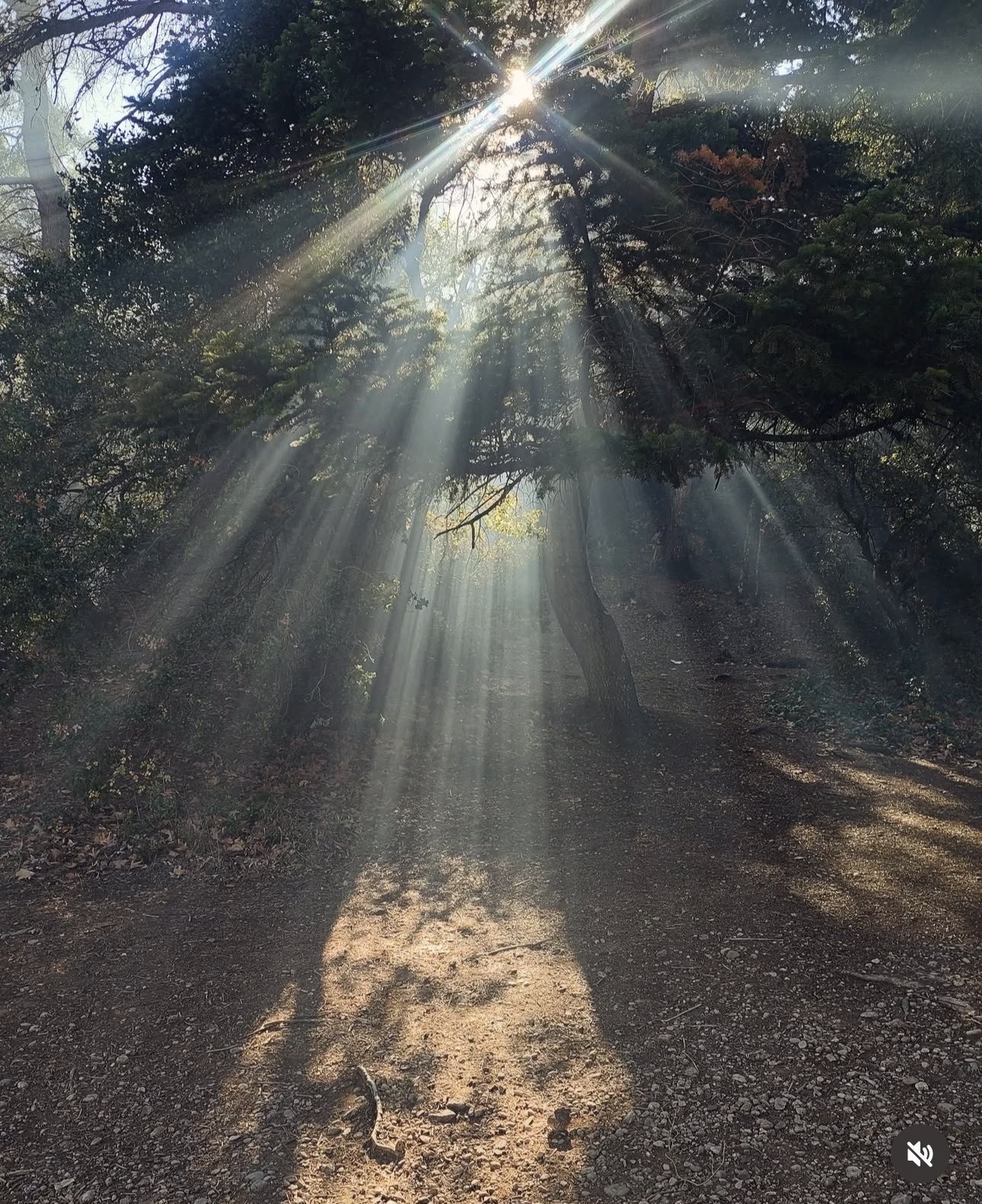 “Οσα μου μαθαίνουν τα βουνά” – Ιστορίες ανάβασης στα πιο θεαματικά σημεία της Ελλάδας