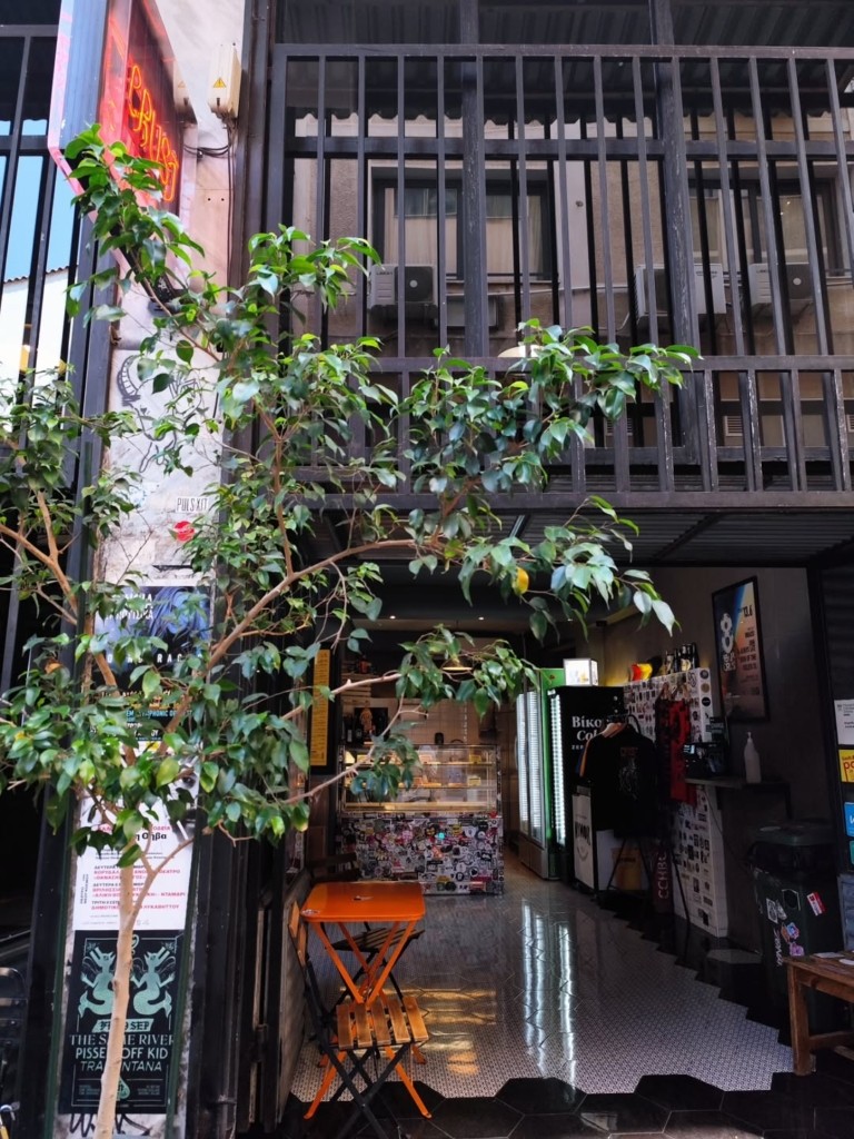 Κρασί, δίσκοι, πίτσα και φυτά – Τα πολυχρηστικά καταστήματα που αλλάζουν την Αθήνα