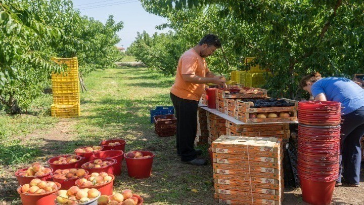 Συμφωνία Ε.Ε.–Mercosur: Ανοίγει νέα αγορά 300 εκατ. καταναλωτών για τα ελληνικά προϊόντα | Ειδήσεις για την Οικονομία