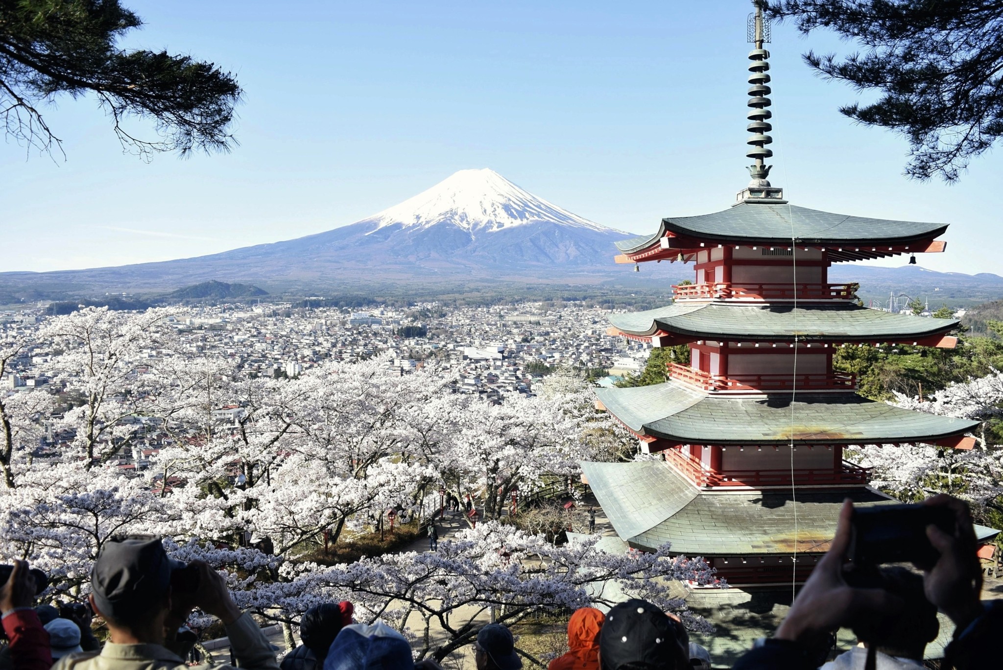 Ιαπωνία: Ακυρώνεται το φεστιβάλ με τις ανθισμένες κερασιές λόγω του μαζικού τουρισμού