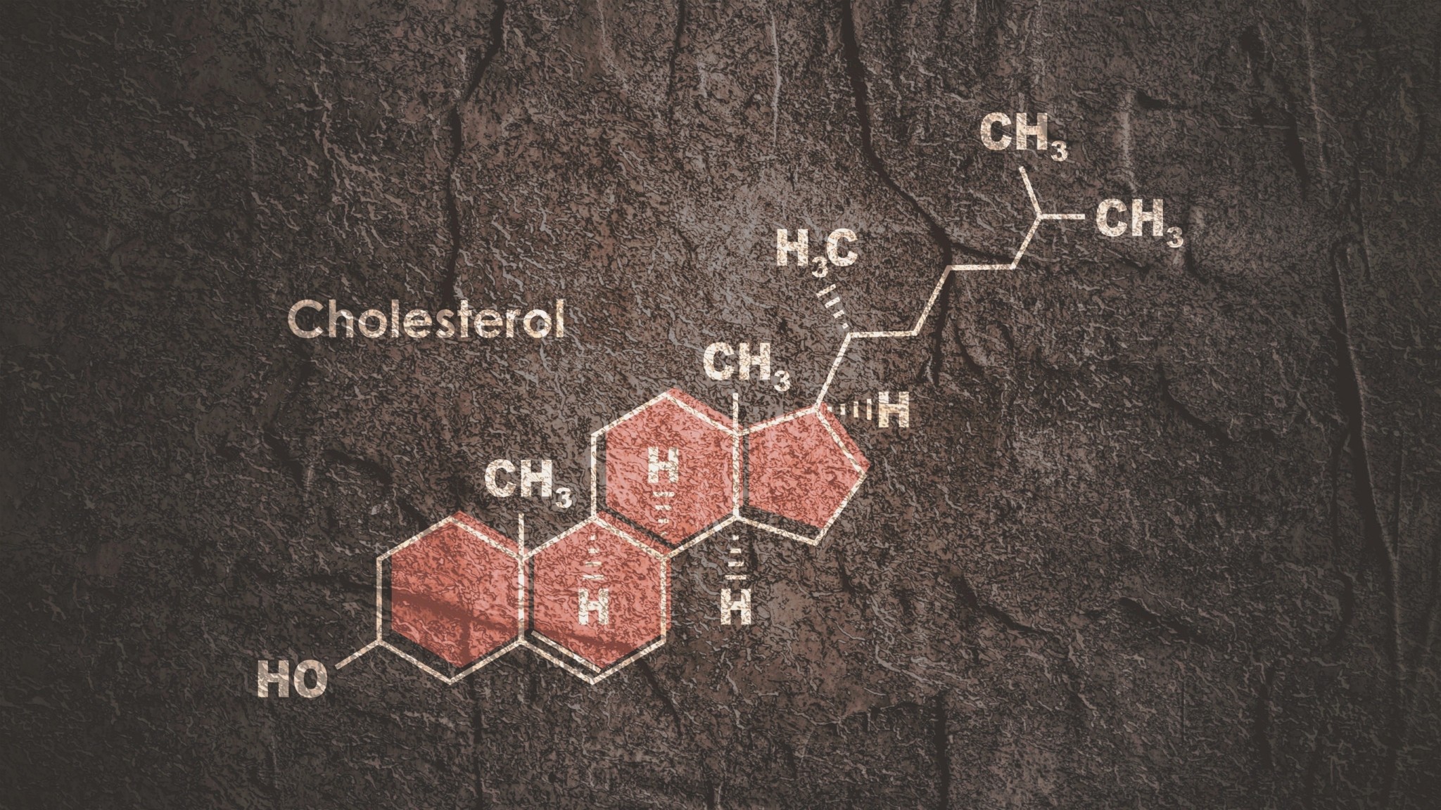 Νέο χάπι για τη χοληστερόλη: Μείωση έως 60% χωρίς ενέσεις – Τι έδειξαν οι πρώτες δοκιμές