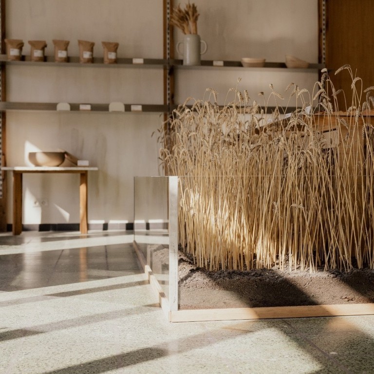 Η παγκόσμια τρέλα για τα bakeries