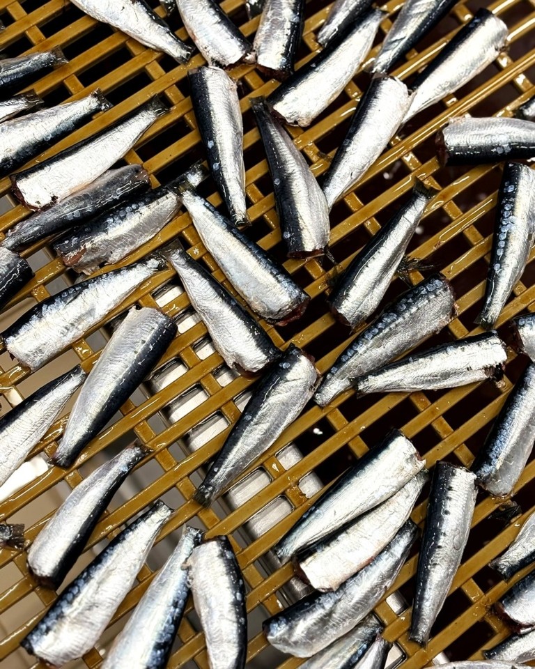 Γαλικία: Η πιο περιζήτητη κονσέρβα είναι γαστρονομική εμπειρία