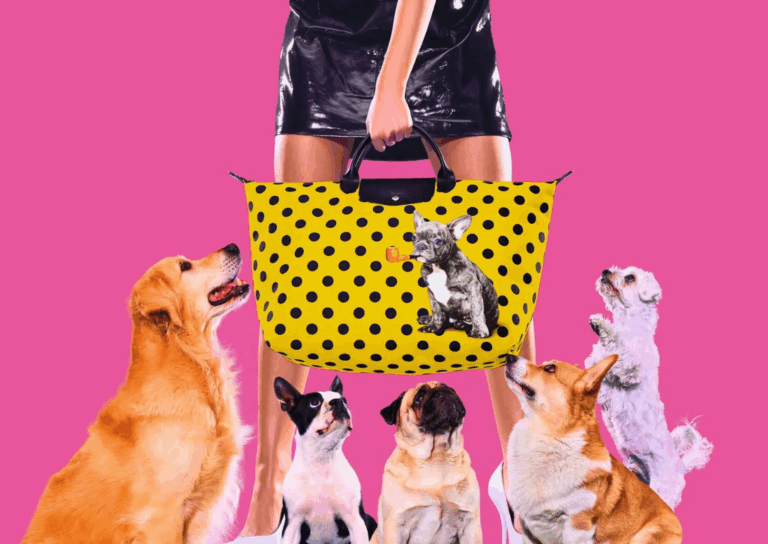 Le Pliage: Η τσάντα-φαινόμενο του οίκου Longchamp